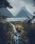 8dzalai62j331